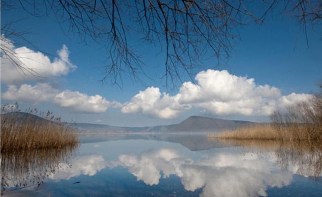 Al Casalino House Villa Ronciglione  Dış mekan fotoğraf